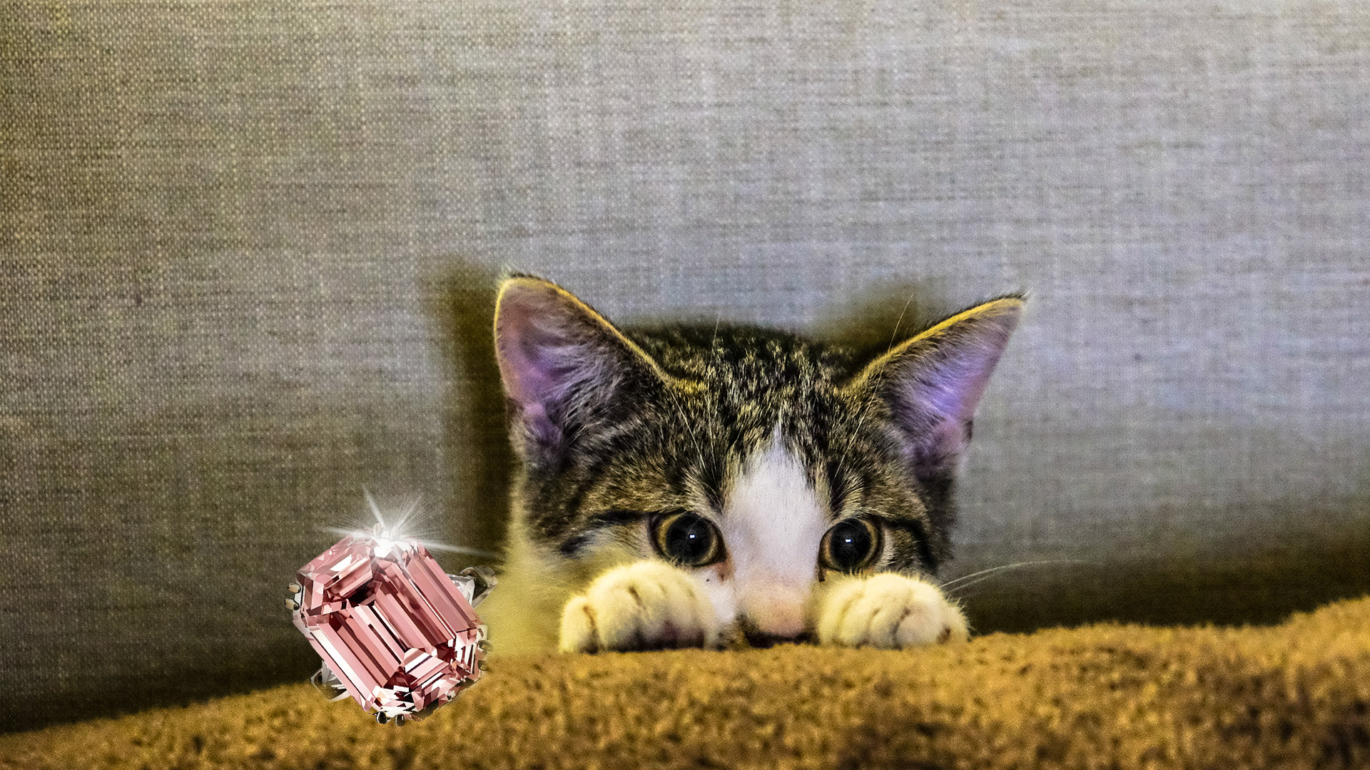 Pet Diamond